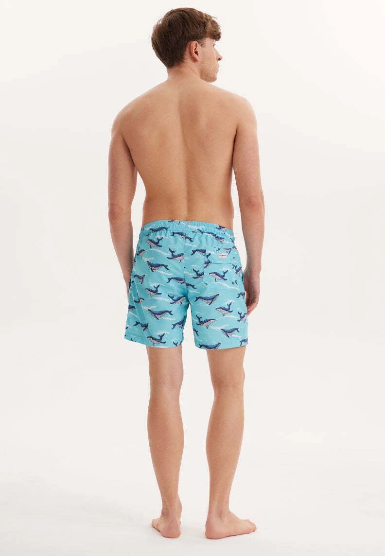 Wmpattern- Shorts Da Mare - Turquoise Aop 3 Wmpattern- Shorts Da Mare - Turquoise Aop - immagine 3