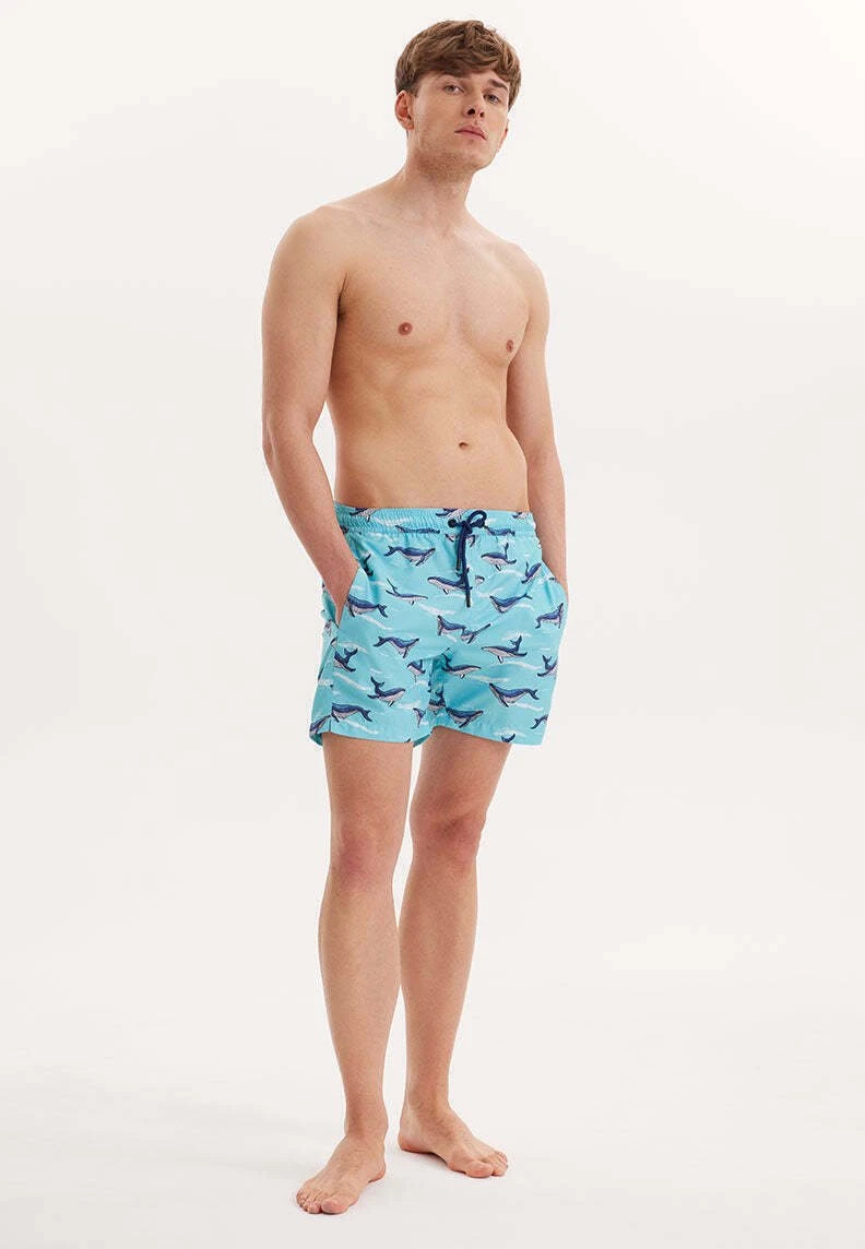Wmpattern- Shorts Da Mare - Turquoise Aop 2 Wmpattern- Shorts Da Mare - Turquoise Aop - immagine 2
