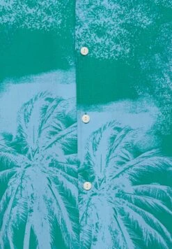 PULL & BEAR Short Sleeve Stwd Palm TreeCamiciaTurquoise Uomo Camicie PUC22D0JH-L11 -Vendite Boss c94cc5af9c35469bb494fb613f0d1c5c